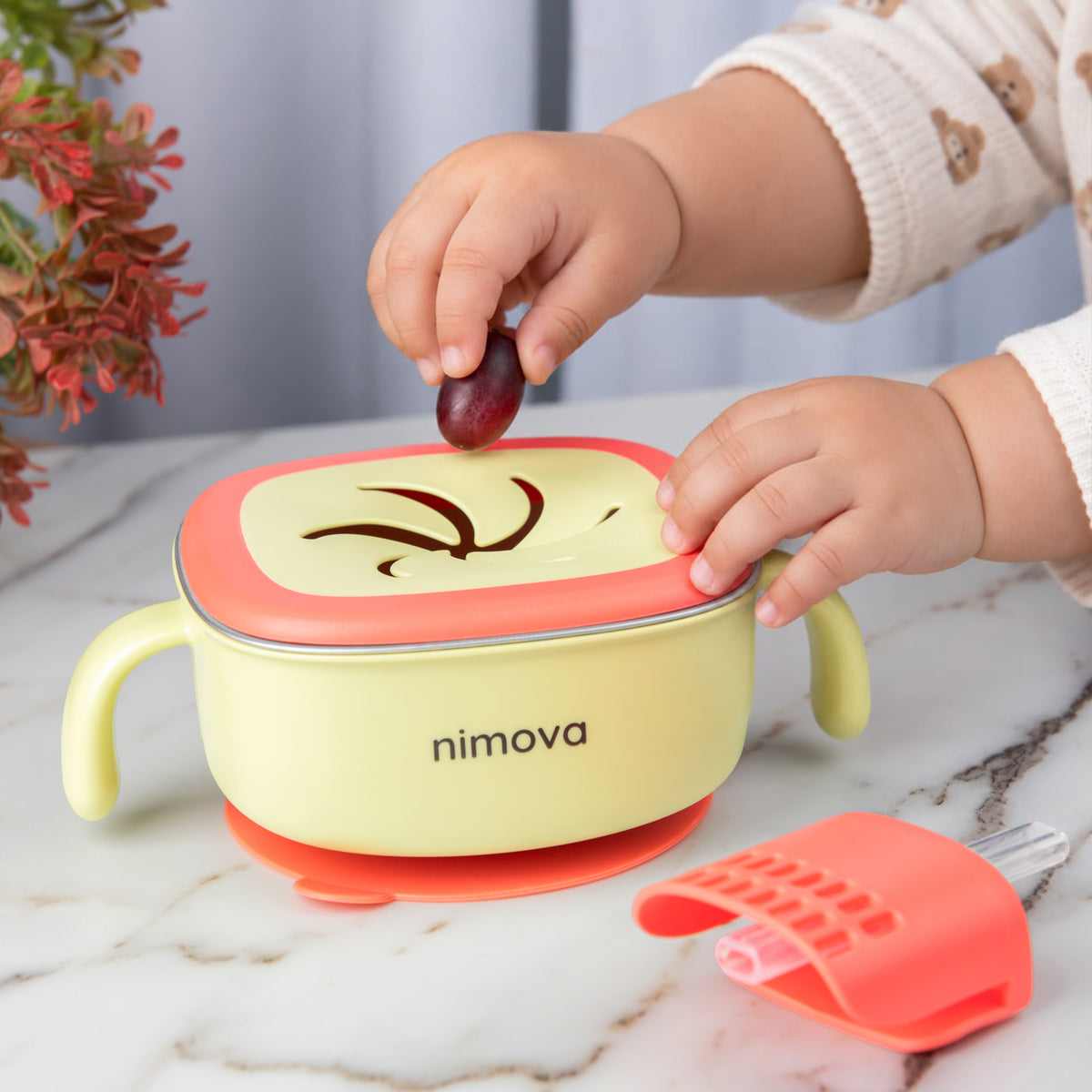 3 in 1 Suction Bowl