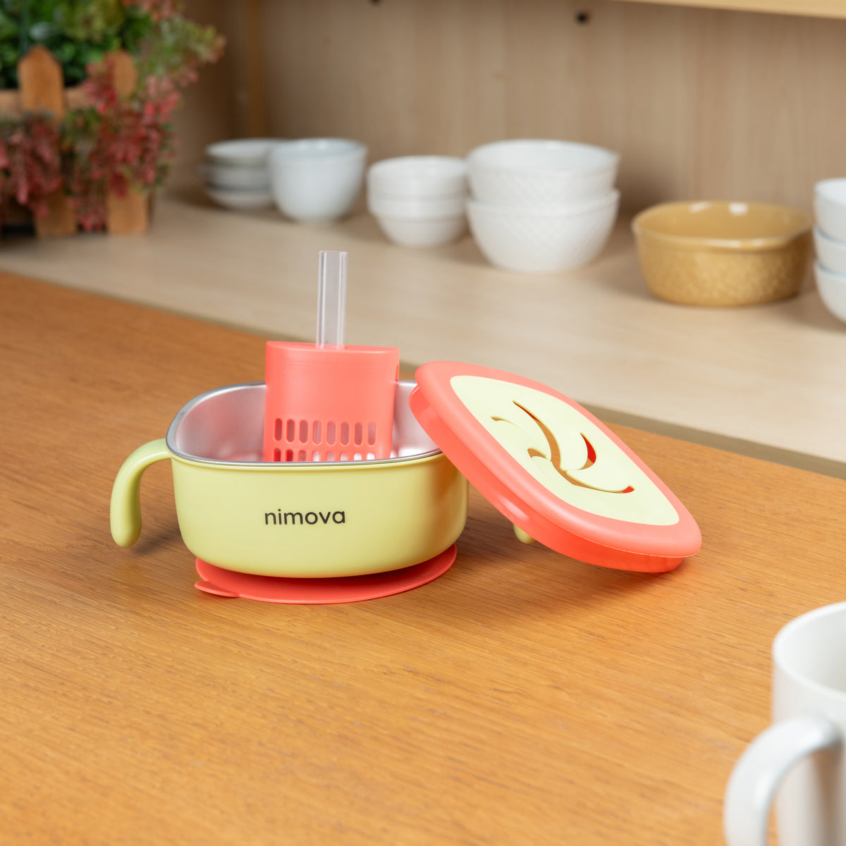 3 in 1 Suction Bowl